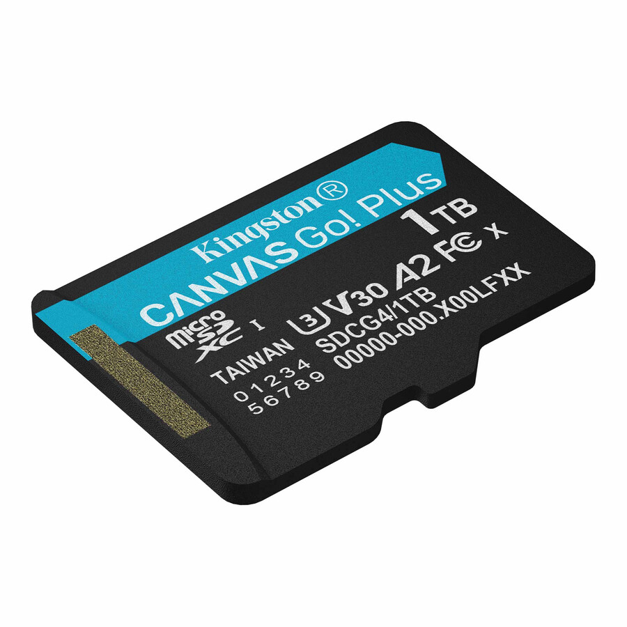 canvas go plus microsd-minneskort - artikelnummer=sdcg464gb